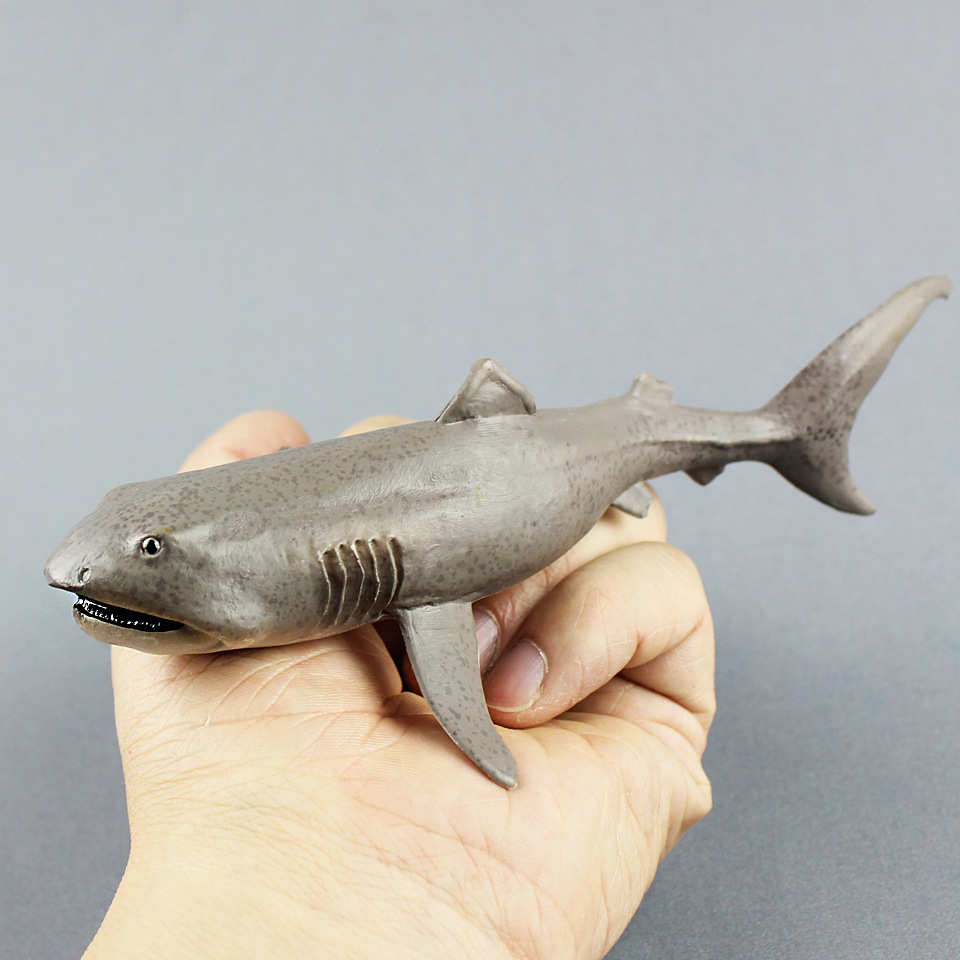 ของเล่น Megamouth Shark จำลองส - Kids First Education บทวิจารณ์และราคา