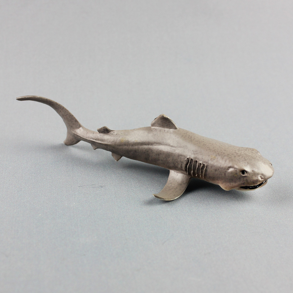 ของเล่น Megamouth Shark จำลองส - Kids First Education บทวิจารณ์และราคา