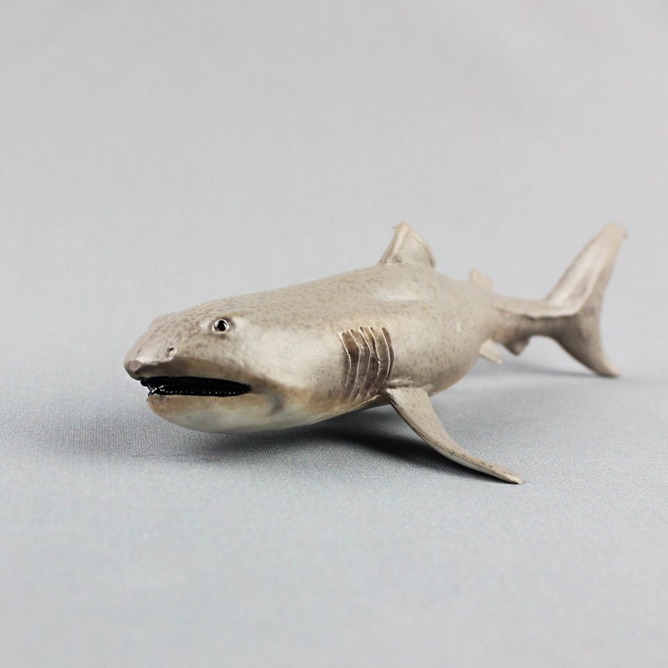 ของเล่น Megamouth Shark จำลองส - Kids First Education บทวิจารณ์และราคา