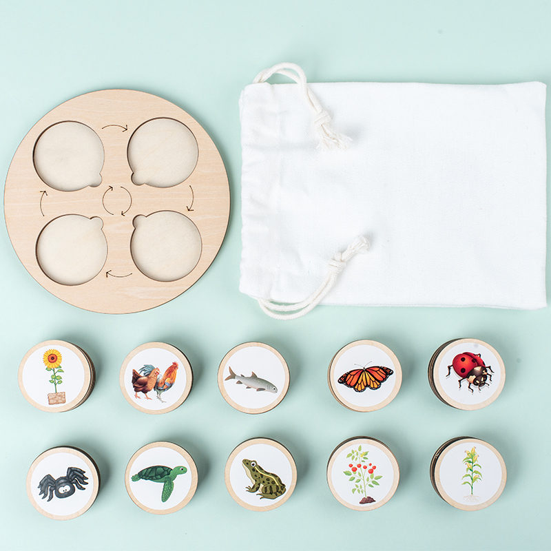 Life Cycle Board Montessori Ki - Montessori Shelf Toy บทวิจารณ์และราคา