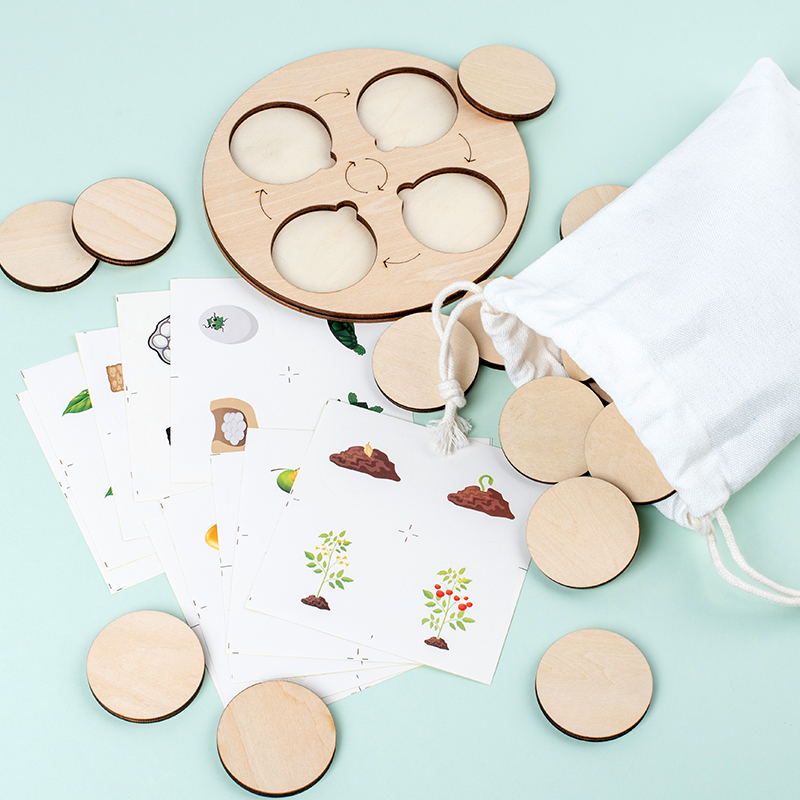 Life Cycle Board Montessori Ki - Montessori Shelf Toy บทวิจารณ์และราคา