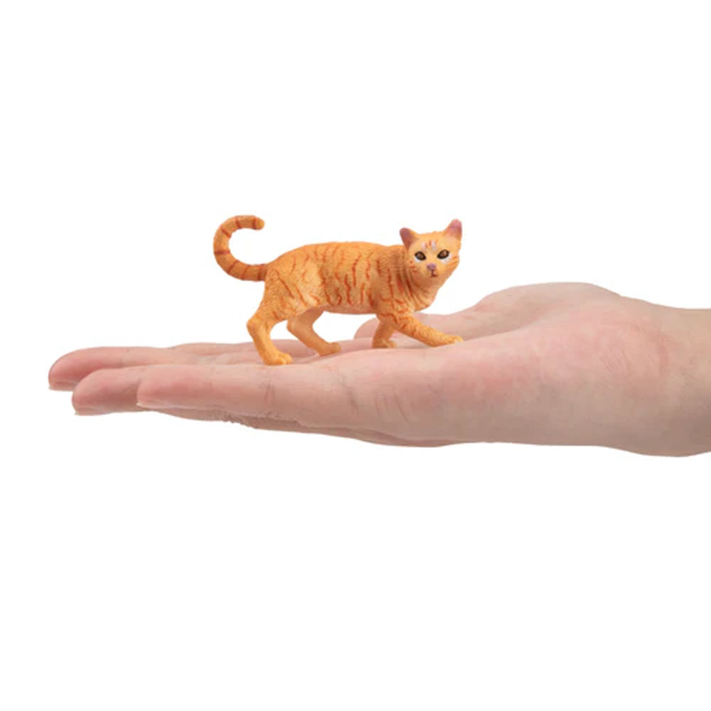 Toymany จําลอง Striding สีส้ม  - Kids First Education บทวิจารณ์และราคา