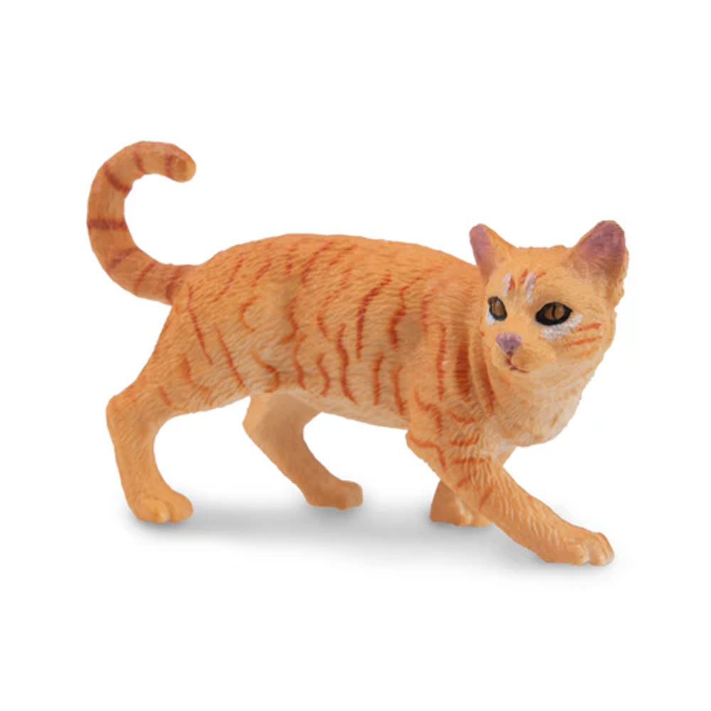 Toymany จําลอง Striding สีส้ม  - Kids First Education บทวิจารณ์และราคา