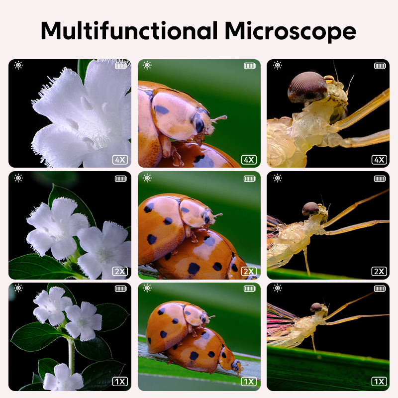 Mini Kids กล้องจุลทรรศน์แสงพร้ - Kids Education Video บทวิจารณ์และราคา